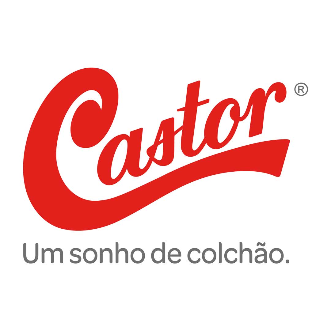 Castor