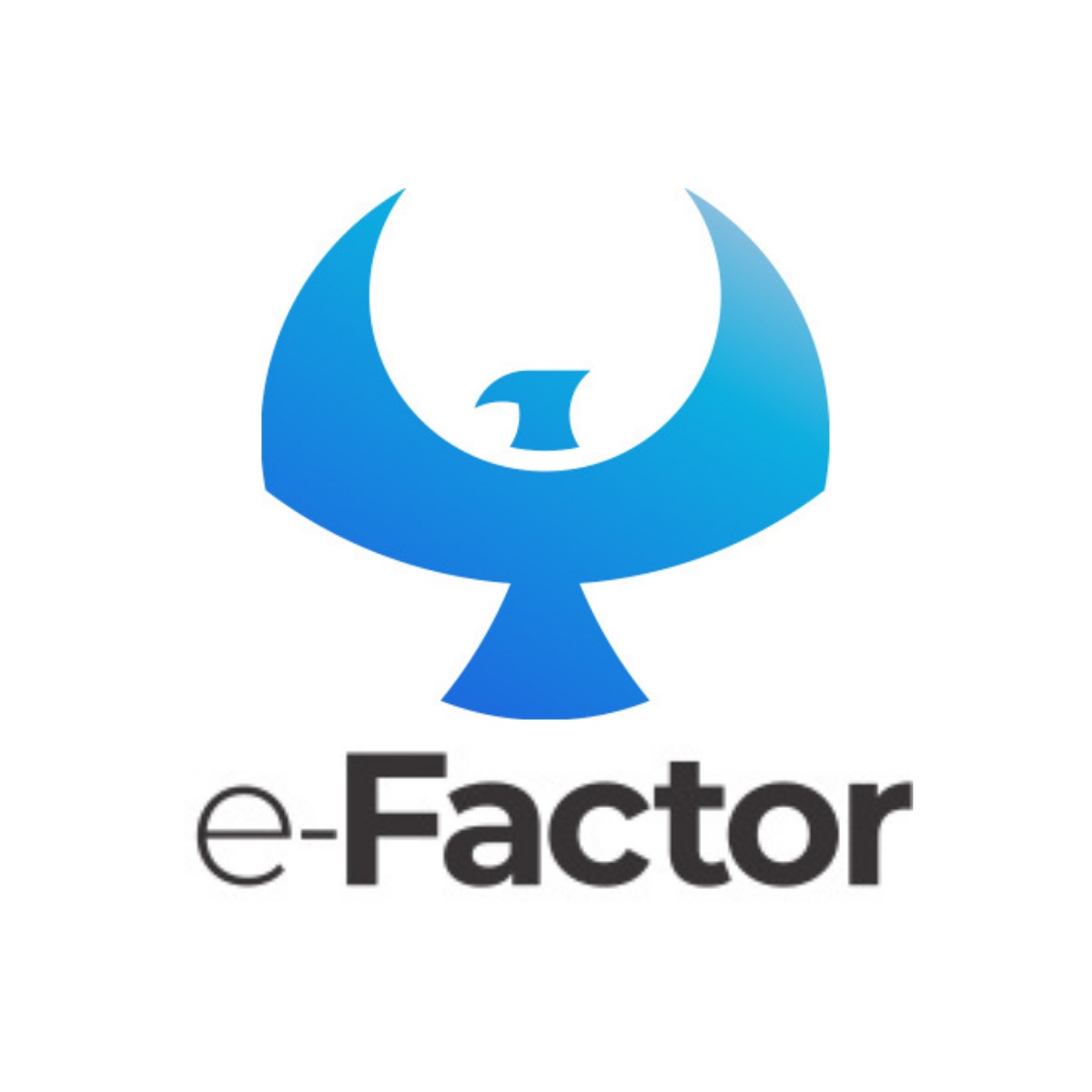e-Factor